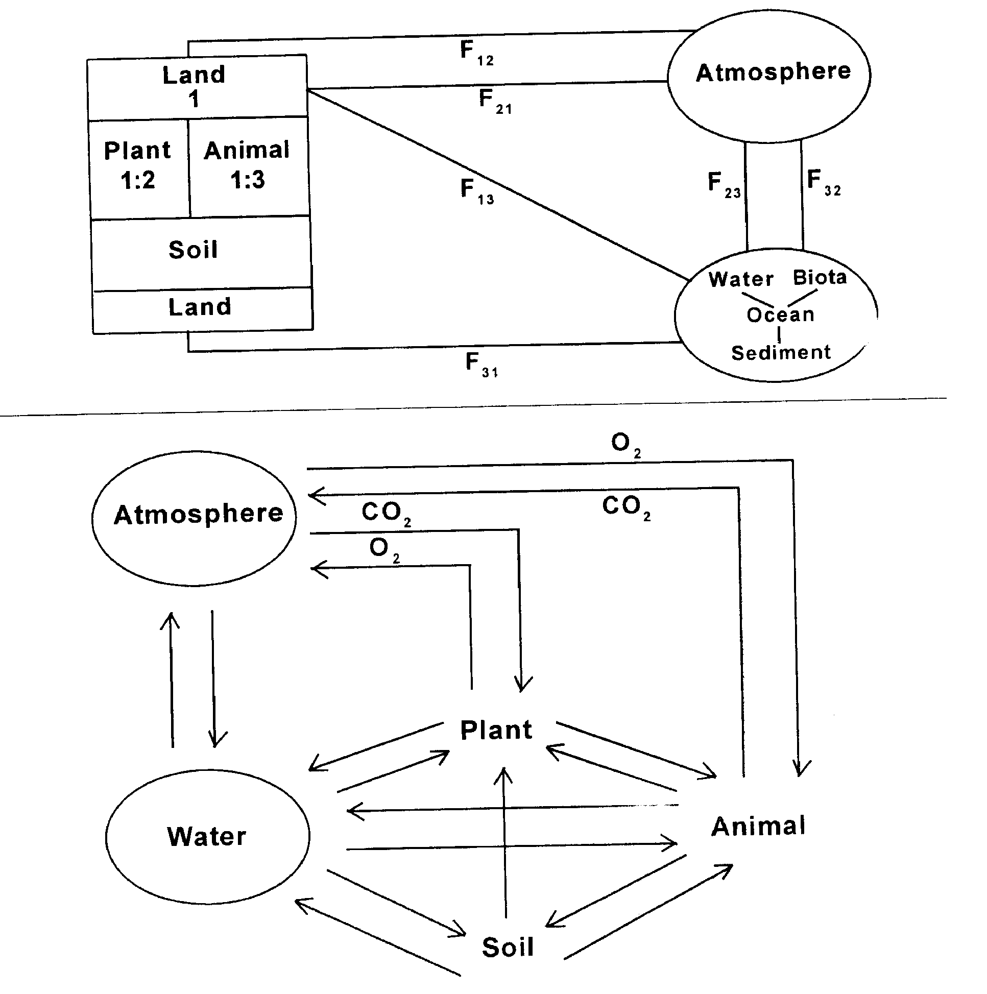 biogeochemistry